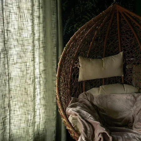 Amazonie De Luxe Avec Balneo Daire Le Havre